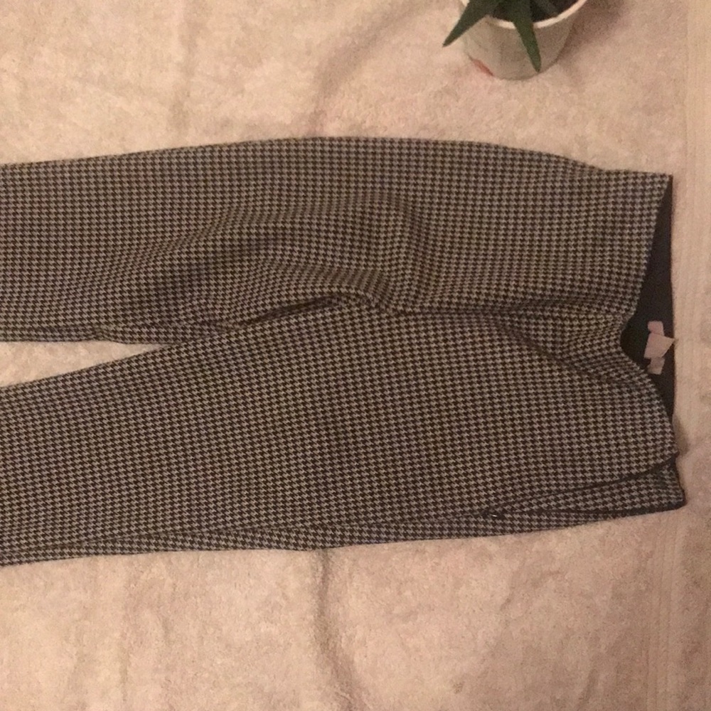 Dress pants